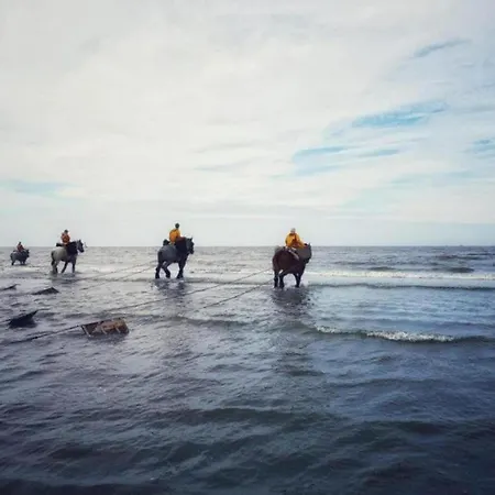 Stylish With Balcony, Sea Views Apartman Oostduinkerke