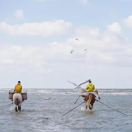 Stylish With Balcony, Sea Views Oostduinkerke